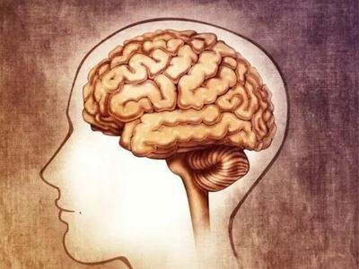 焊接麻豆视频一区二区-霧霾使大腦遲鈍