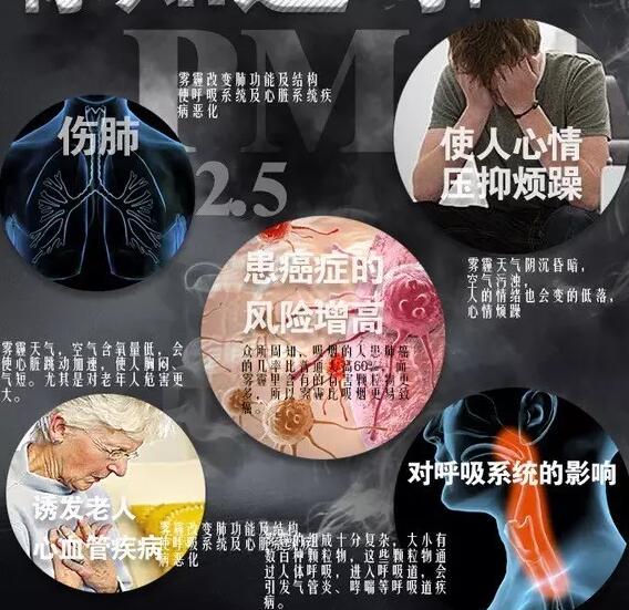霧霾產生的疾病—麻豆视频一区二区